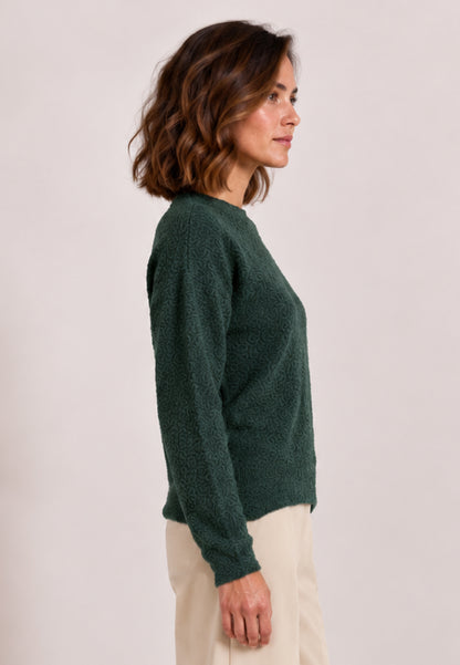 Pulli, Modell Dara